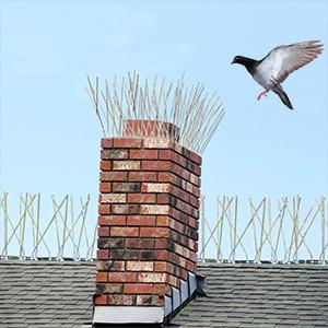 China Easy to Install Bird Spikes The Ideal Solution for Pest Control for sale