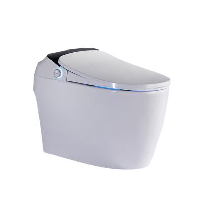 China Automatic Operation SALA New Listing Direct Luxury Smart Toilet Color WC One Piece Toilet for sale