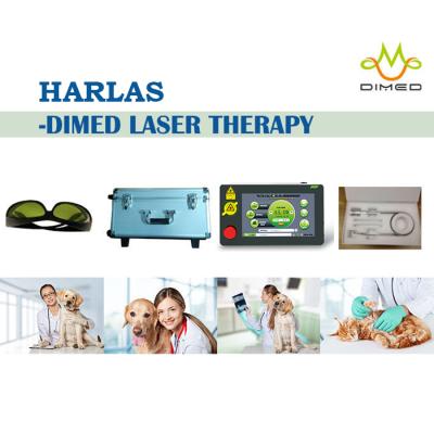 China Dimed Veterinary Laser Treatment for Veterinary Pain Management, 810/910/980nm for sale