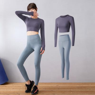 China Breathable New Design Long Sleeve Tops And Gaiters Set Skin Friendly Seamless High Waist Wash Sports Beach Tops And Gaiters Set for sale