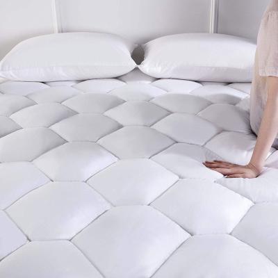 China Plain Cotton Knitted Terry To Use Anti Allergy Mattress Protector Cover Breathable Waterproof Mite Protector Anti Mattress Cover for sale