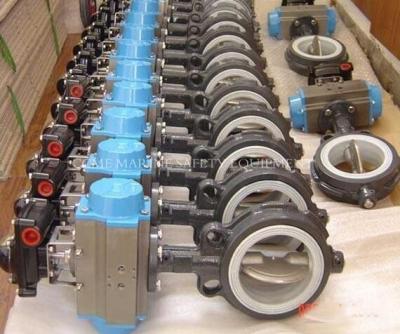 China Marine Butterfly Valve Wafer Lug And Flanged Type Concentric Valves for sale