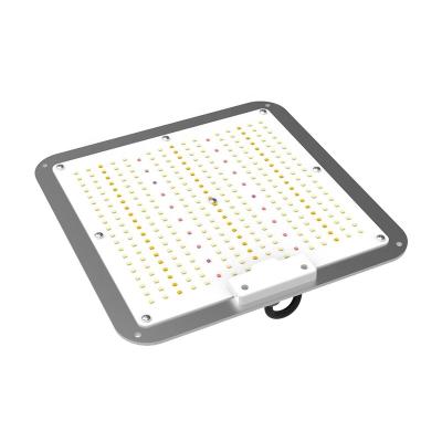 China Seed starting smd led grow light veg led grow lights for home hobbyist grow sprout light for sale