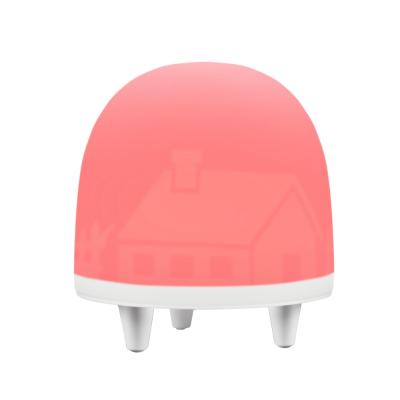 China Cute Led Silicone Soft Light For Kids Sleeping Companion Lamp Night Light With USB Charger for sale