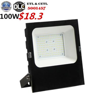 China LANDSCAPE Factory Supply IP66 Waterproof Outdoor Flood Lights Led Slim Flood Light 100 Watt for sale