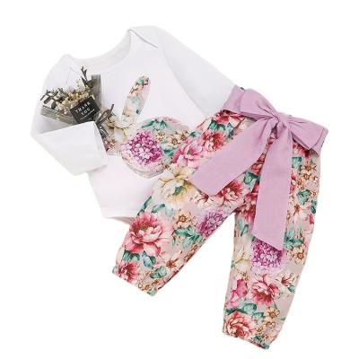 China Hot Sale Lovely Fun Flower 100% Cotton Baby Clothes Newborn Baby Clothes Anti-Shrink Sets Baby Clothes for sale