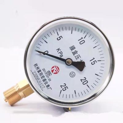 China Iron Case Copper Connector Copper Motion Capsule Pressure Gauge Bellows Micro Pressure Gauge Pressure Gauge YE100 for sale