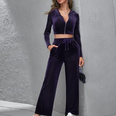 China 2021 Anti-Static Jogger Sets Wholesale Tracksuit Zipper Crop Sets Women Velvet Tracksuit Set for sale