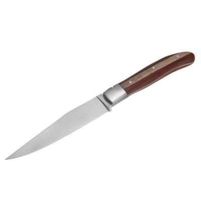 China Sustainable Steak Knife Stainless Steel Knives With Wooden Handle for sale