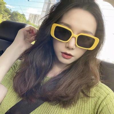 China New Fashion Sunglasses Eyewear Protective Mask Plastic Glass Full Glasses for sale