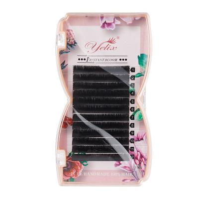 China Queena Good Quality Single Lashes 0.05 Different Classic Bulk Mink Eyelash Extensions for sale