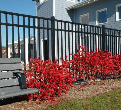 China Easily Assembled Portable China Customized New Type Height Aluminum Black Fence for sale