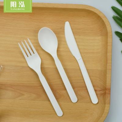 China Disposable PLA Disposable Flatware Set Eco - Friendly CPLA Plastic Cutlery Set for sale