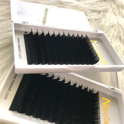 China Natural Long 0.25 Thickness 8-20Mm In Stock Private Label Color Light Blue Lashes Wholesale Double Tip Lash Extension Flat for sale