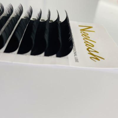 China Natural Mix Tray Camellia Lashes with 9-11-13mm in One Row Individual Eyelash Extension False Eyelashes for sale