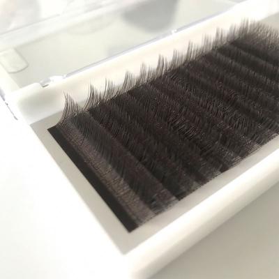 China Soft 2020 New Products W Different 0.03 V Shape Mink Eyelash YY Individual Extension Lashes for sale