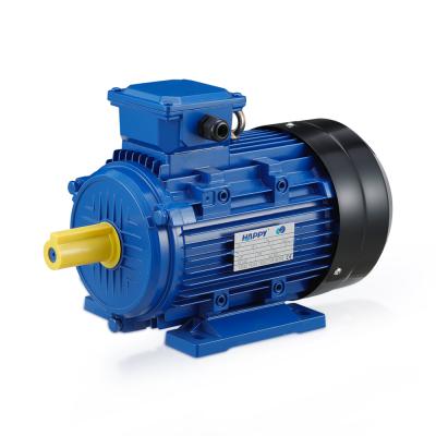 Китай China Zhejiang 380V 3 Phase Electric Motor Asynchronous MS продается