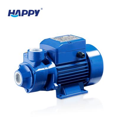 China Other Best Price AC 220v Mini Booster Water Pump Domestic Quarterback 80 for sale