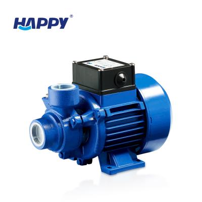 중국 Other Peripheral Motor 0.15hp 220v Single Phase Best Electric Water Pump 판매용