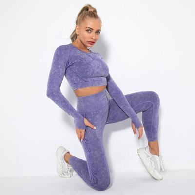 China 2021 New Arrival Summer Antibacterial Set With Leggings Women Long Sleeve Cellulite Gym Seamless Yoga Set Yoga Clothing for sale