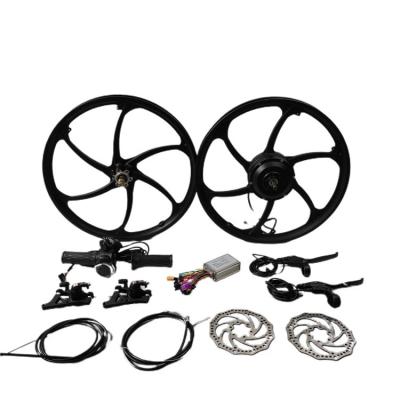 China Two Series DGWZ 20inch 36v48v 350w Brushless Rear Hub Motor Geared Electric Bicycle Conversion Kit for sale