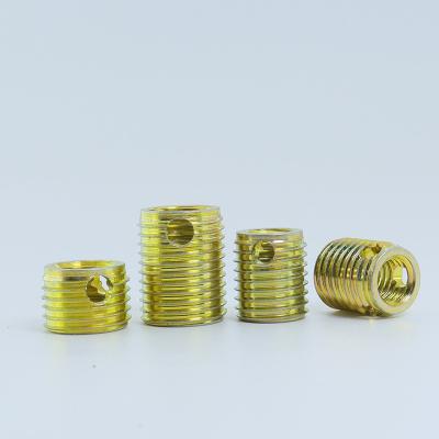 China Healthcare other fasteners 307 308 self tapping inserts 22u er/l 6tr thread turning insert threaded m4 brass bushings for sale