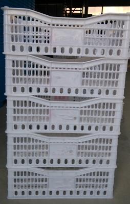 China Special vented plastic crate for strawberries for sale