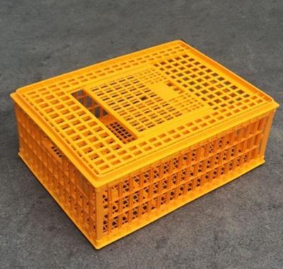 China Brand new platic animal transport cage with high quality for sale