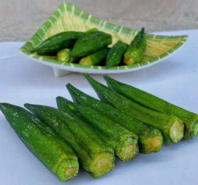 China Nutritious Fresh and Natural Price of Fried Okra Organic Snack Competitive Low Temperature Vacuum Dried Vegetables for sale