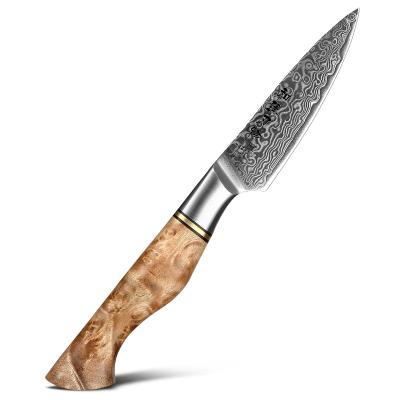 China Sustainable Kitchen Damascus Steel Paring Knife With Figured Sycamore Wood Handle for sale