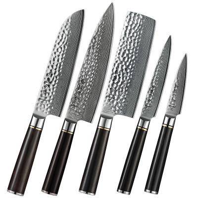 China Viable Professional Japanese 5 Pcs Damascus Kitchen Knife Set for sale