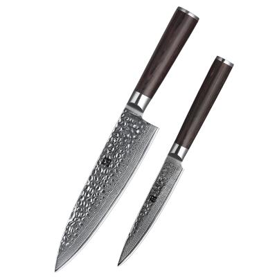 China Viable VG10 Damascus Professional Japanese Steel 2 Pcs Kitchen Knife Set for sale