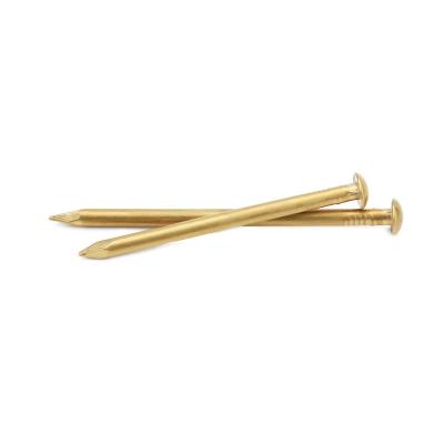 China Round Head Cap 1.5mm*20mm Brass Nails Wood Furniture Decorative Nails Brass for sale