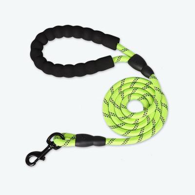 China Personalized Soft Padded 2 Handle Nylon Braided Rope Lead Double Handle Dog Leash For Dog Training Walking for sale