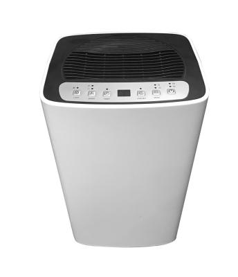 China New Arrivals Hotel R290 Portable Air Dehumidifier 12L/day Wardrobe Basement Dehumidifier Home for sale