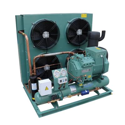 China Cooling Cold Room Cold Room Machine Condensing Unit For Vegetable And Fruit Storage for sale