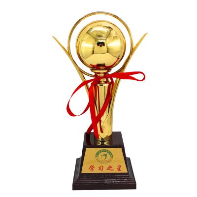 China China 2022 Metal Trophy Customized High-End Football And Basketball Championship Trophy Creative Student Trophy for sale