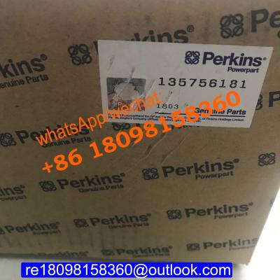 China 135756181 Perkins Turbocharger For 403/404/400 series engine/ Perkins Engine Parts/auto parts for sale