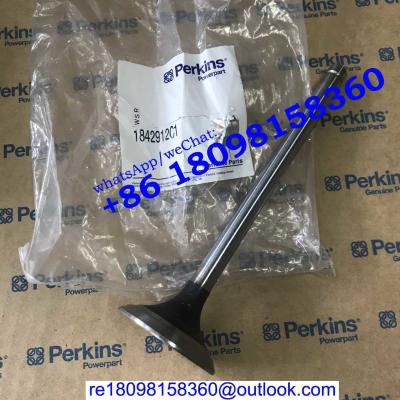 China 1842912C1 1824838c1 VALVE EXHAUST/VALVE INLET FG Wilson engine parts/Perkins engine parts for sale