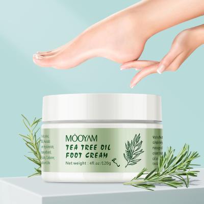 China Moisturzing Private Label Repair Beauty Natural Organic Exfoliating Urea 40% Hydrating Foot Whitening Foot Cream for sale