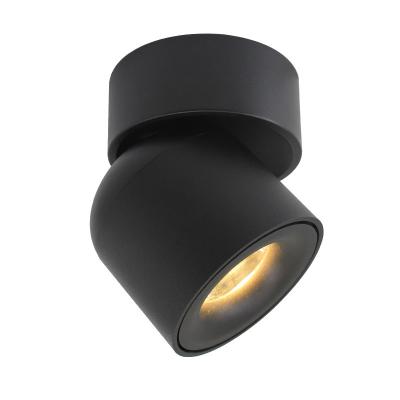 China Proyectores del techo de la cocina LED, superficie nórdica del pasillo de Downlights del techo del LED montada en venta