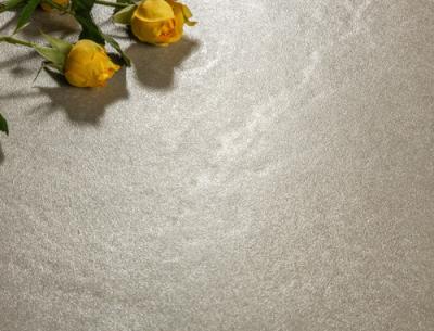 China Het concrete Terrazzo kijkt Tegel 750*1500mm van de Porseleinvloer droogt Verglaasd Te koop