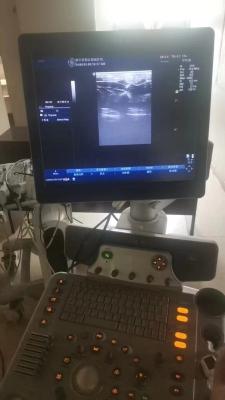 China GE original imaging ultrasound machine Logiq P6 for sale