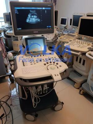 China Trolley Color Doppler Vascular Ultrasound SonoScape S40 for sale