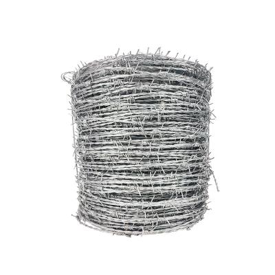 China Large protection factory wholesale barbed wire for boundary protection, PVC or galvanized anti-rust and anti-corrosion for sale