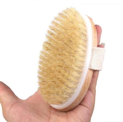 China Long Handle Body Brush For Skin Exfoliating Brush for sale