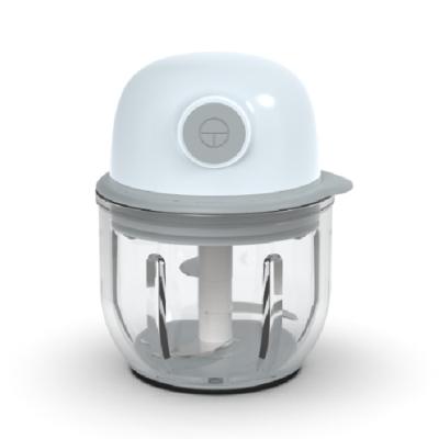 China 2021 New Arrival Household Appliances Mini Food Chopper Baby Food Processor Manufacturer Manual for sale