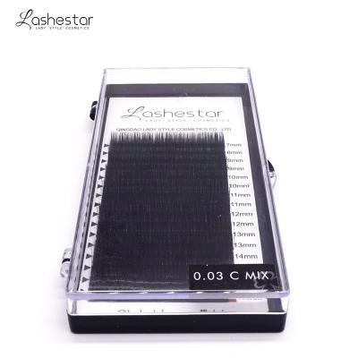 China Professional Long Mink Lashes Natural Lashestar Lashes Different Vendors for sale