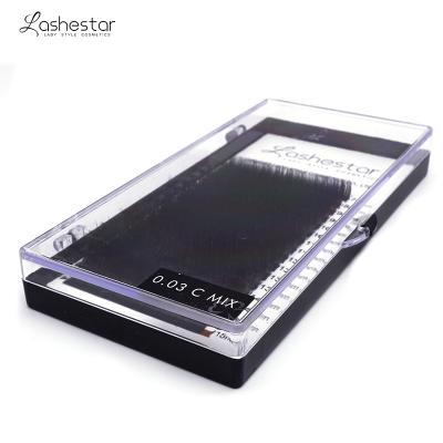 China High Quality Private Natual 0.03 Mm Mink Lashes Trays Whip Extension for sale