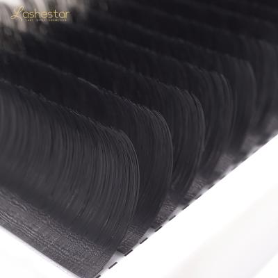 China Natural Long FUR MINK Lashes Classic Rocket Eyelash Extension Eyelash Tray for sale